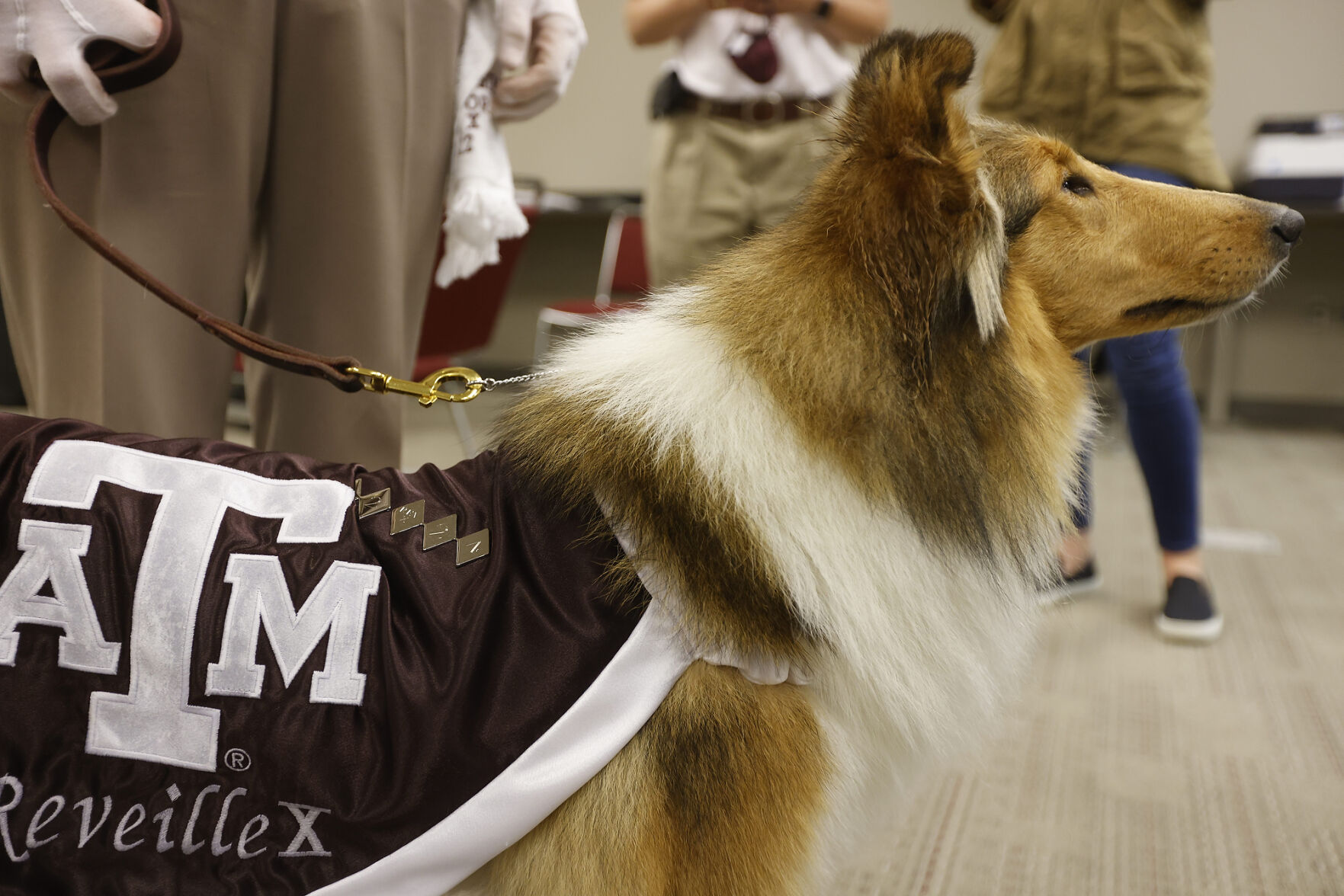 Reveille X